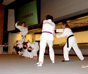 Lo spettacolo di Taekwondo offerto dalla scuola Tiger